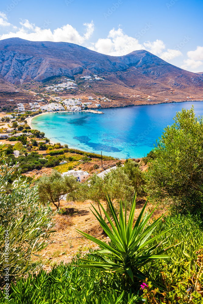 Tropical plants in Aigiali sea bay with mountains in distance, Amorgos island, Cyclades, Greece