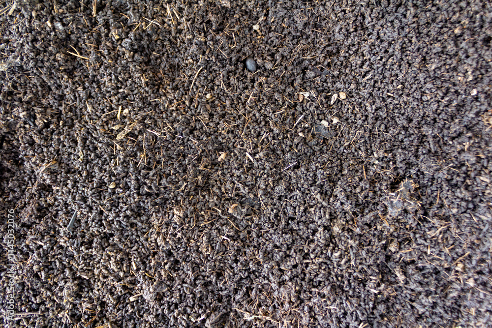 Fertile Agricultural Land Surface Texture in Asia Fertile Agricultural Land Surface Texture in Asia