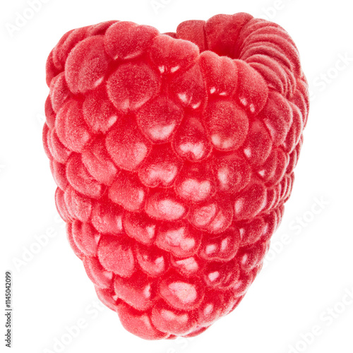 isolated raspberry