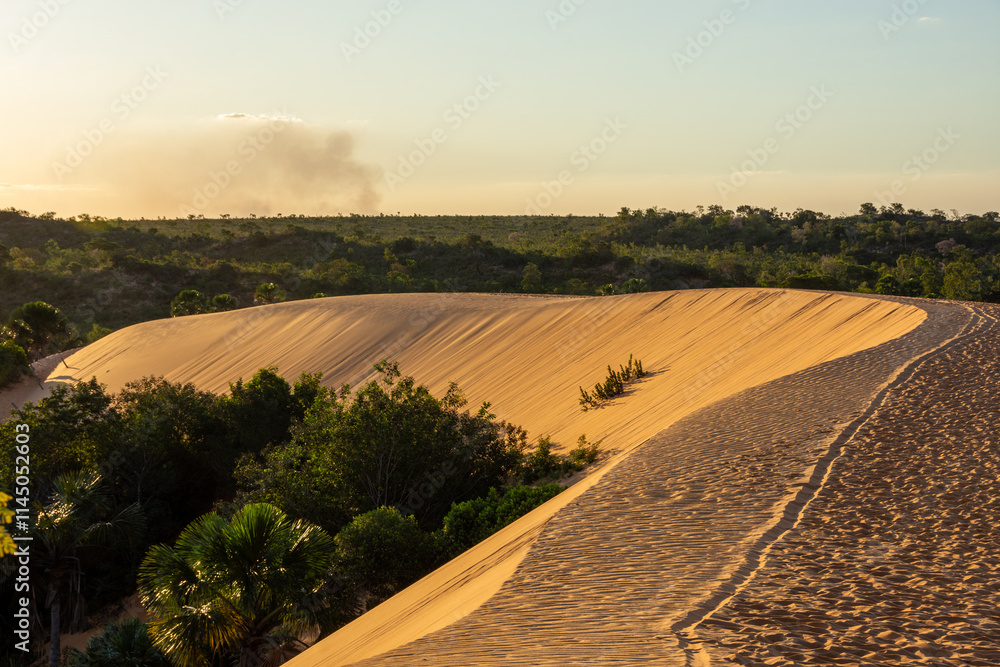Fototapeta premium View of Dunas do Jalapão (Jalapão Dunes) at Jalapão State Park, by the sunset - Tocantins, Brazil