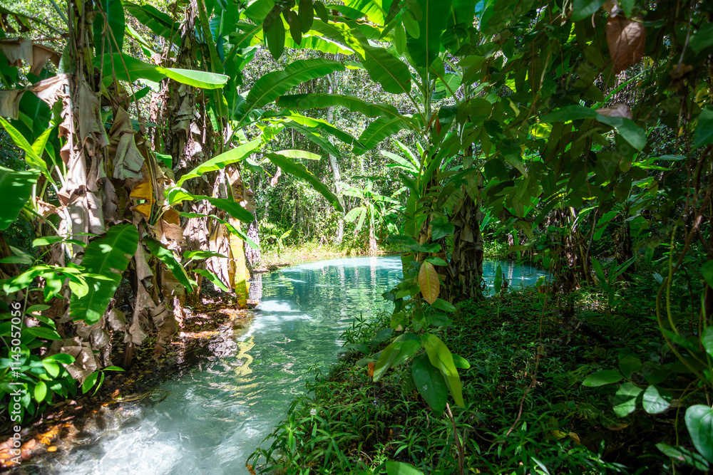 Obraz premium View of Fervedouro do Ceiça, a unique karst spring located at Jalapão State Park - Tocantins, Brazil