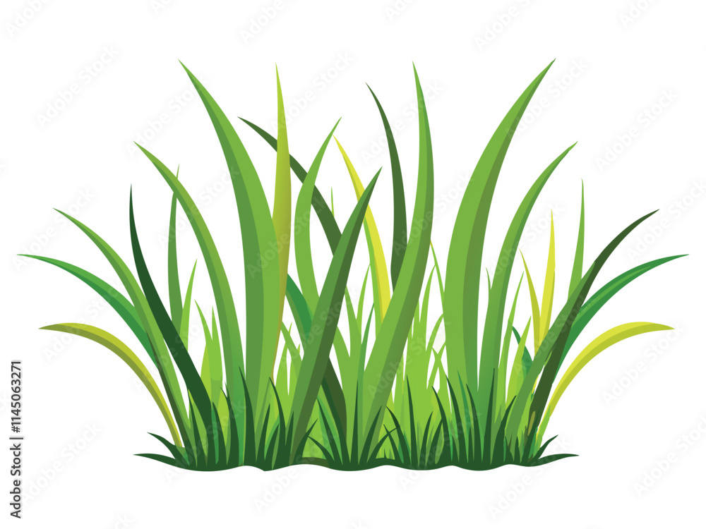 grass on white background grass on white background
