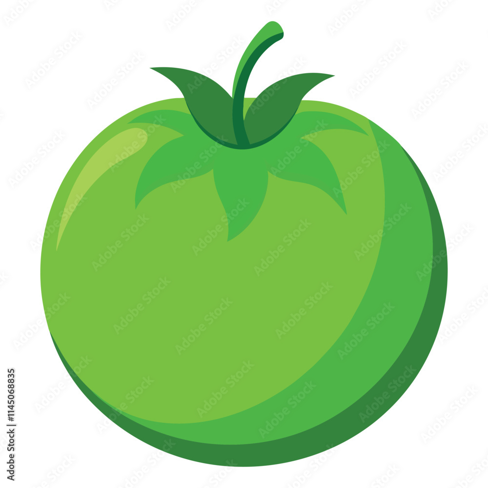 green tomato on white background green tomato on white background
