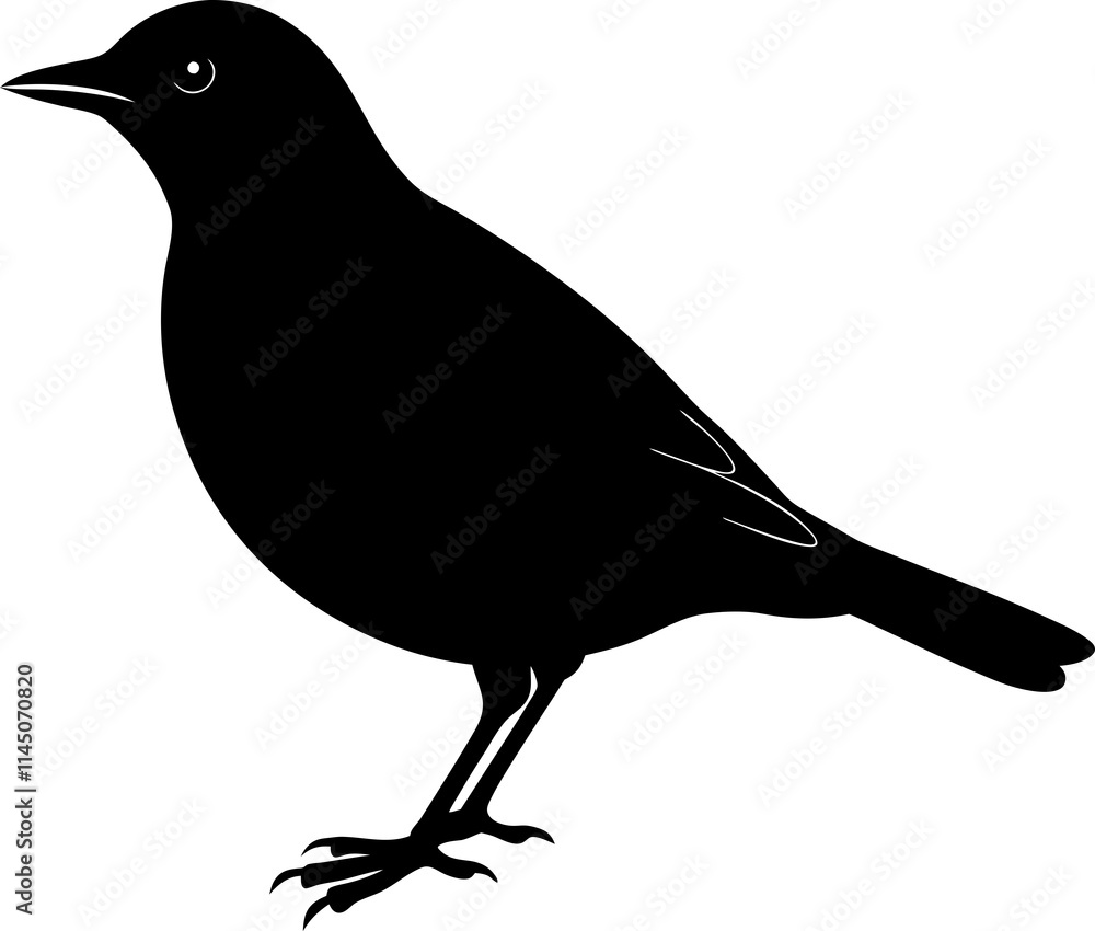 Fototapeta premium blackbird-silhouette