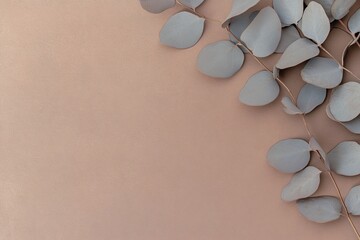 Close-up of dried eucalyptus branches arranged delicately on a matte surface.