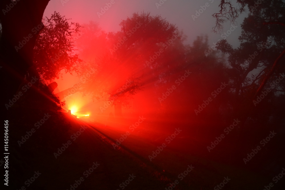 Naklejka premium wicked looking light in the foggy forest at night