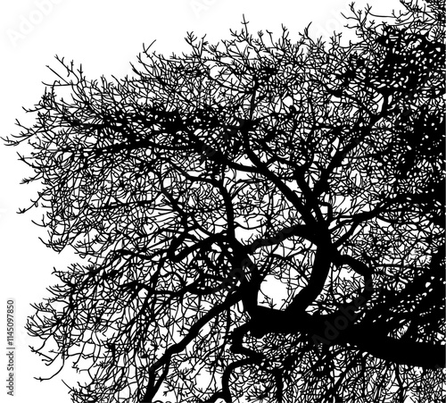 ramas, arbol, dechado, vector, encaje, negro, designio, floral, empapelar, arte, ilustración, flor, con textura