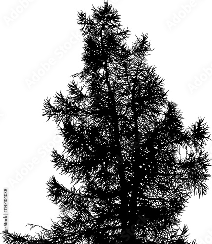 árbol, pino, atardecer, cielo, silueta, sol, naturaleza, paisaje, amanecer, árbol, bruma, otoñal