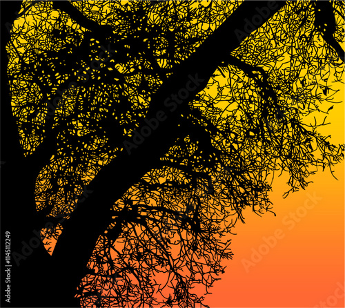ramas, arbol, dechado, vector, encaje, negro, designio, floral, empapelar, arte, ilustración, flor, con textura