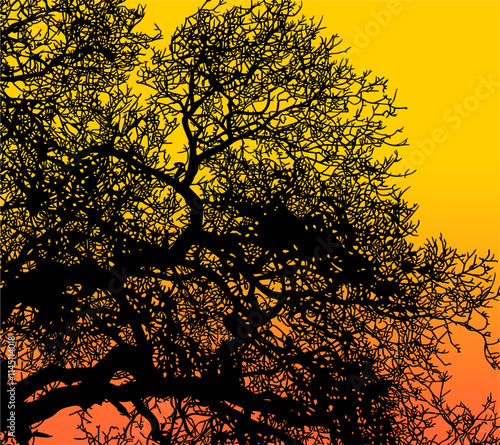 ramas, arbol, dechado, vector, encaje, negro, designio, floral, empapelar, arte, ilustración, flor, con textura
