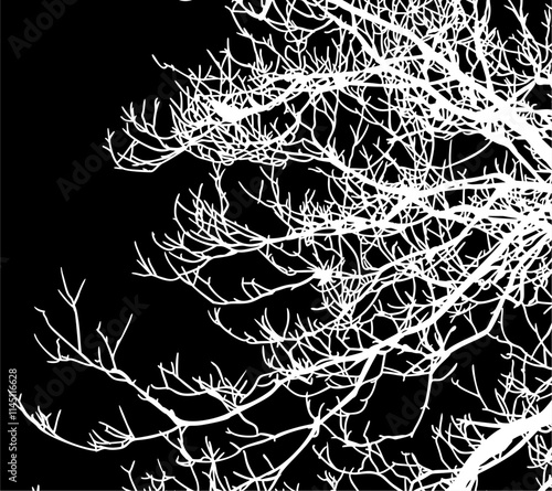 ramas, arbol, dechado, vector, encaje, negro, designio, floral, empapelar, arte, ilustración, flor, con textura