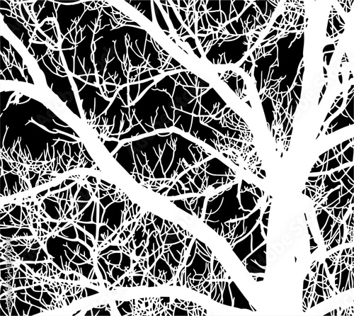 ramas, arbol, dechado, vector, encaje, negro, designio, floral, empapelar, arte, ilustración, flor, con textura