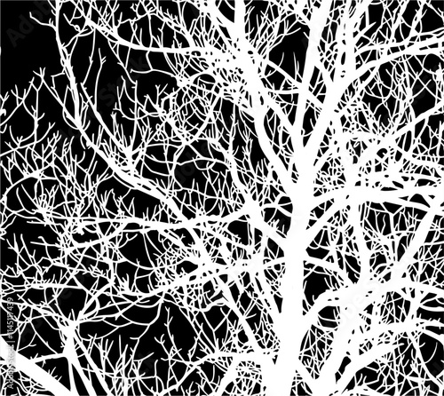 ramas, arbol, dechado, vector, encaje, negro, designio, floral, empapelar, arte, ilustración, flor, con textura
