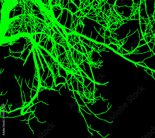 ramas, arbol, dechado, vector, encaje, negro, designio, floral, empapelar, arte, ilustración, flor, con textura