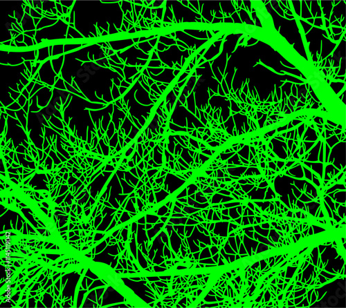 ramas, arbol, dechado, vector, encaje, negro, designio, floral, empapelar, arte, ilustración, flor, con textura
