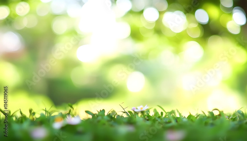 Blur background green park garden nature bright sunny forest. Blurry outdoor park in spring time glowing shinny day template with sunlight bokeh. Abstract blurred background banner copy space.