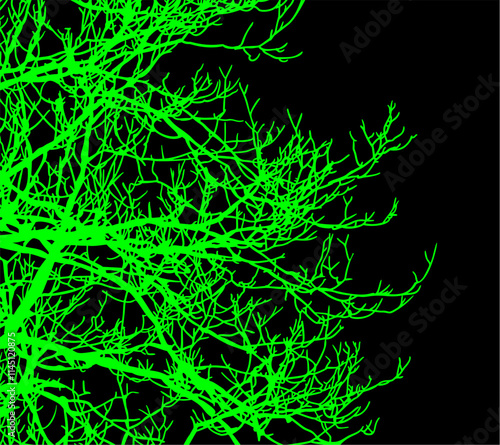 ramas, arbol, dechado, vector, encaje, negro, designio, floral, empapelar, arte, ilustración, flor, con textura