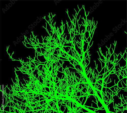 ramas, arbol, dechado, vector, encaje, negro, designio, floral, empapelar, arte, ilustración, flor, con textura
