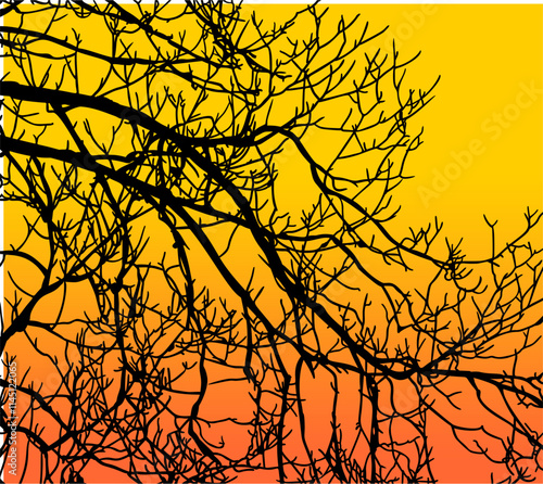 ramas, arbol, dechado, vector, encaje, negro, designio, floral, empapelar, arte, ilustración, flor, con textura