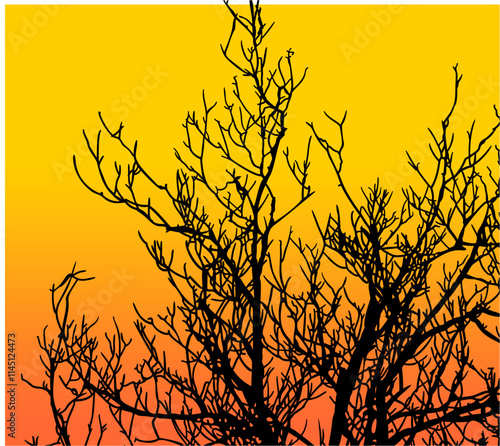 ramas, arbol, dechado, vector, encaje, negro, designio, floral, empapelar, arte, ilustración, flor, con textura