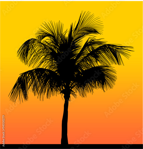 atardecer, la palma, árbol, playa, tropical, cielo, sol, silueta, naturaleza, mar, amanecer, oceáno, isla