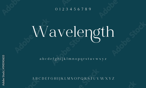 Classic serif font alphabet letters fancy gentle typographic design. Elegant typography. Retro slick serif letter set for wedding card, restaurant menu, headline, lettering.