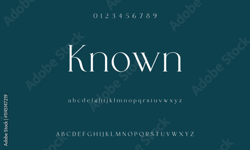 Classic serif font alphabet letters fancy gentle typographic design. Elegant typography. Retro slick serif letter set for wedding card, restaurant menu, headline, lettering.