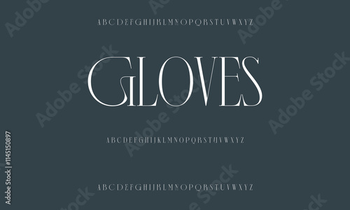 Luxury serif font in modern style. Elegant wedding alphabet letters font and number. Typography Luxury classic lettering serif fonts decorative vintage retro logo