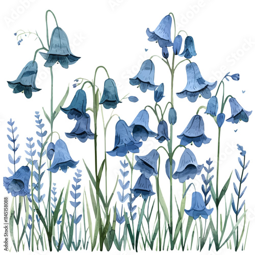 A watercolor vector of a field of blooming bluebells, isolated on a white background. Bluebells vector.
