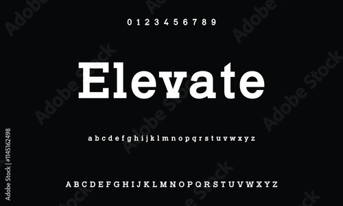 Classic serif font alphabet letters fancy gentle typographic design. Elegant anthique typography. Retro slick serif letter set for wedding card, restaurant menu, headline, lettering. Vector typeset