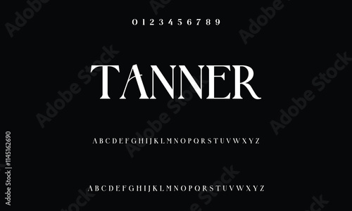Classic serif font alphabet letters fancy gentle typographic design. Elegant anthique typography. Retro slick serif letter set for wedding card, restaurant menu, headline, lettering. Vector typeset