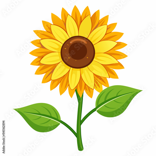 Create a clean vector of a sunflower ,white background