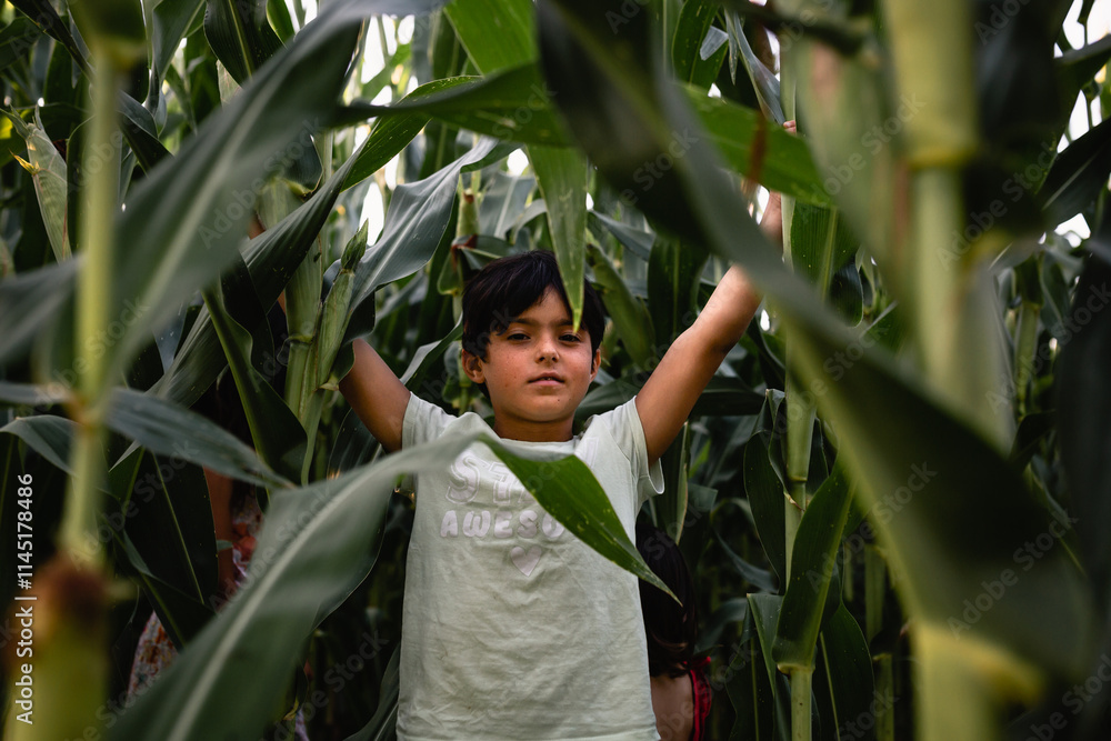 smiling girl with short dark hair standing in corn field with raised arms smiling girl with short dark hair standing in corn field with raised arms