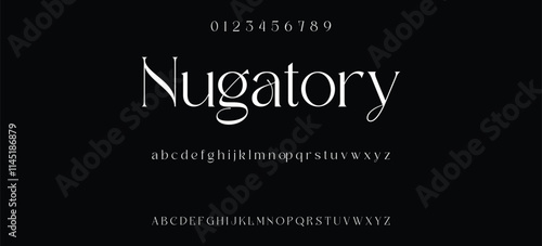 Luxury serif font in modern style. Elegant wedding alphabet letters font and number. Typography Luxury classic lettering serif fonts decorative vintage retro logo