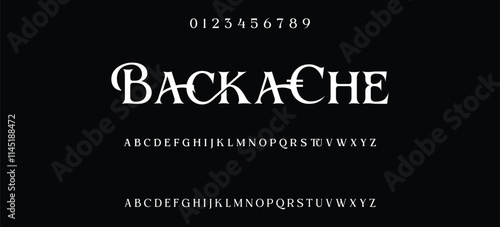 Luxury serif font in modern style. Elegant wedding alphabet letters font and number. Typography Luxury classic lettering serif fonts decorative vintage retro logo