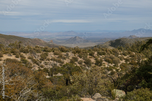 Mountain landscape and Rock formations at Chiricahua National Monument, Arizona photo