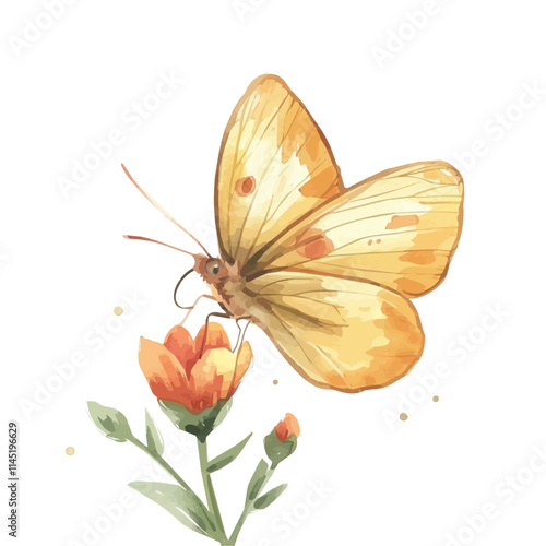 A watercolor vector of a spring butterfly resting on a flower, isolated on a white background. Butterfly vector.
