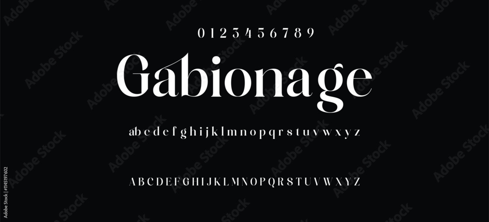 Fototapeta premium Elegant minimalist serif alphabet display font vector. Decorative typography style