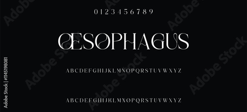 Elegant minimalist serif alphabet display font vector. Decorative typography style