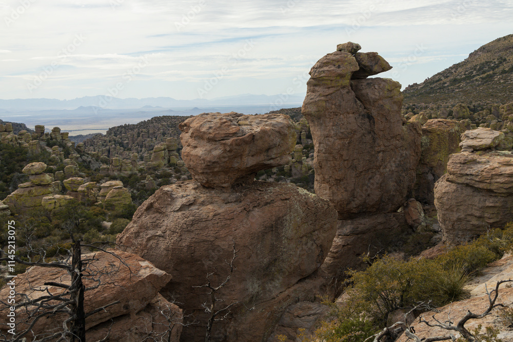 Fototapeta premium Mountain landscape at Chiricahua National Monument, Arizona