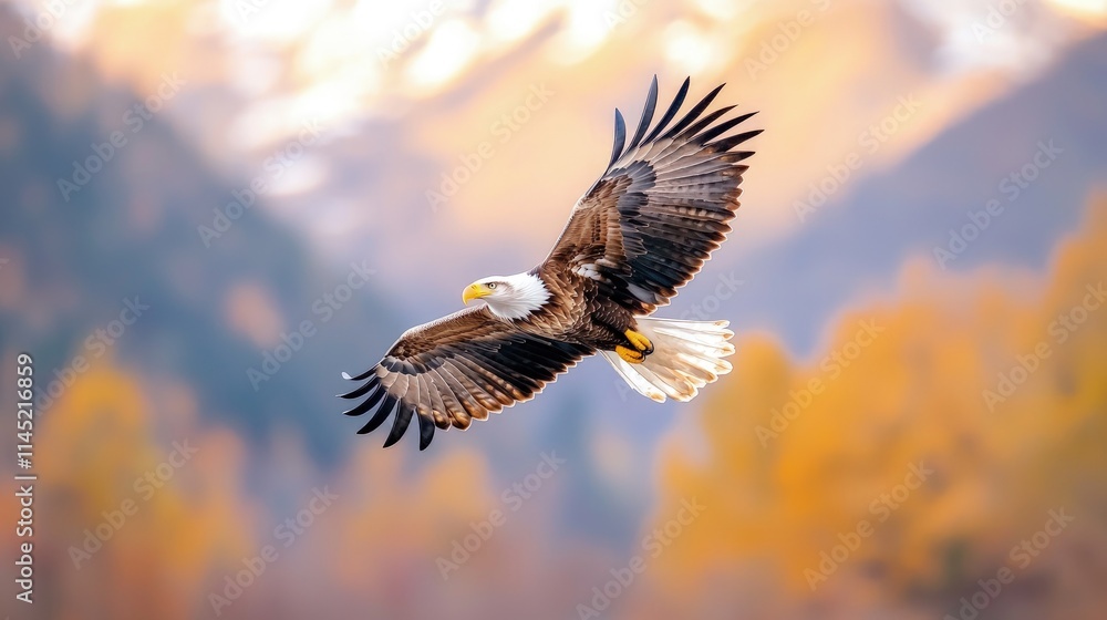 Obraz premium Majestic bald eagle in flight over autumn landscape.