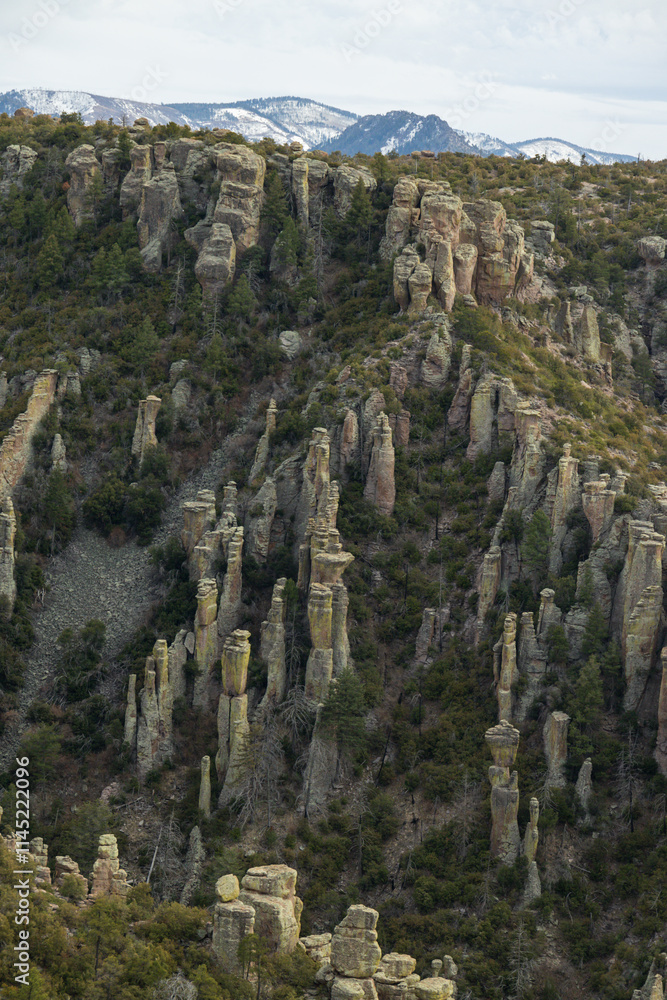 Fototapeta premium Mountain landscape at Chiricahua National Monument, Arizona