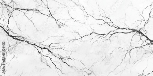 Imagen abstracta de ramas en blanco y negro