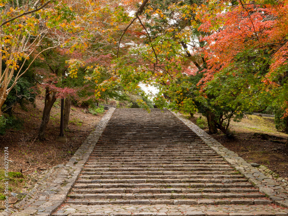 Fototapeta premium 東大寺猫段の紅葉と鹿