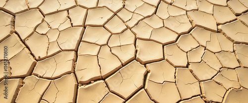 Cracked dry desert soil in warm sunlight photo