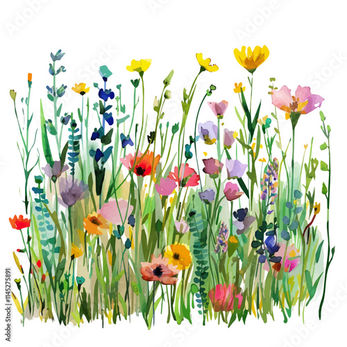 A watercolor vector of a green meadow filled with wildflowers, isolated on a white background. Green meadow filled with wildflowers vector.
