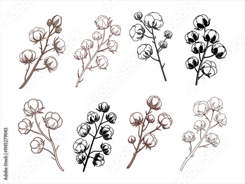 Elegant dried cotton flower branch vector set.