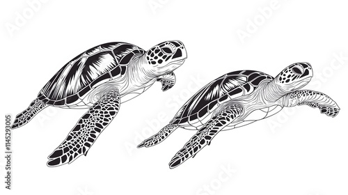 A pair of turtles swimming together, captured in simple line art on a white background