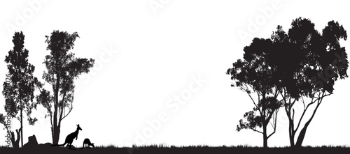silhouette of Australian gum tress with white background