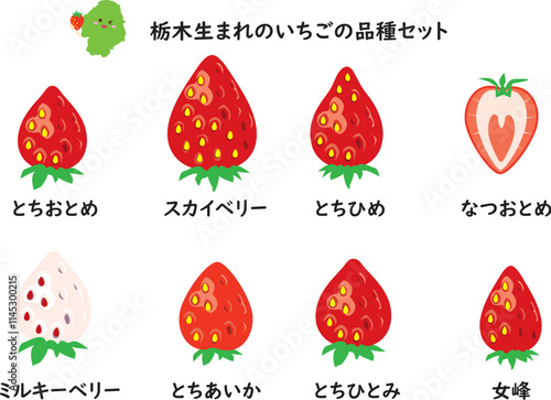 いちご品種セット　栃木県